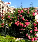 Едностаен апартамент в Бургас, с. Равда