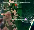Снимка 4 — Едностаен апартамент в Добрич, к.к. Албена