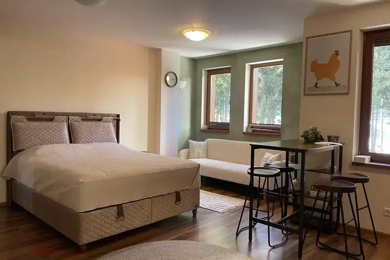 1-bedroom apartment in Smolyan, Pamporovo