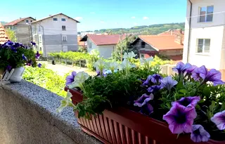 Етаж от къща в Перник, Център