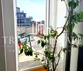 Снимка 4 — Етаж от къща в Пловдив, Център