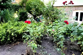 Етаж от къща в София, Докторски паметник
