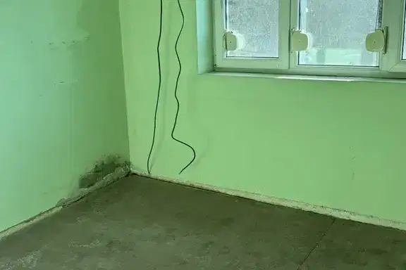 Floor of House in Pleven, Shirok Centyr