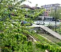 Снимка 3 — Етаж от къща в Кърджали, Веселчане