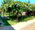Снимка 5 — Етаж от къща в Кюстендил, Дупница