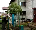 Снимка 4 — Етаж от къща в Монтана, Берковица