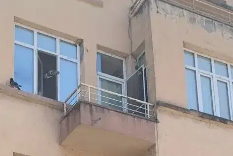 Етаж от къща в Пловдив, Асенов