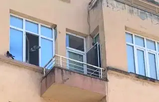Етаж от къща в Пловдив, Асенов