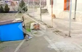 Етаж от къща в Пловдив, Садово