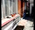 Снимка 4 — Етаж от къща в Пловдив, с. Калояново