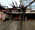 Снимка 3 — Етаж от къща в Сливен, Нова Загора