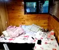 Снимка 3 — Етаж от къща в София, Сливница