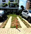 Гараж/Паркомясто в София, Дървеница