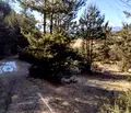 Снимка 4 — Земеделски имот в Благоевград, с. Долно Драглище