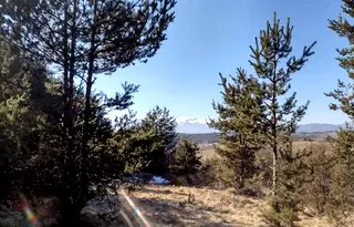 Земеделски имот в Благоевград, с. Долно Драглище