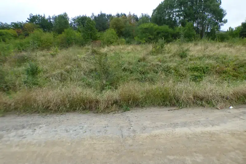 Agricultural Land in Oblast Blagoevgrad, Mikrevo