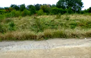 Земеделски имот в Благоевград, с. Микрево