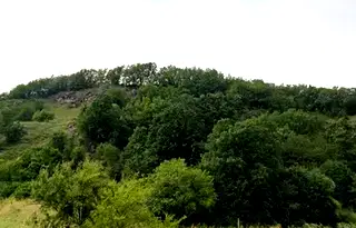 Земеделски имот в Монтана, с. Смоляновци