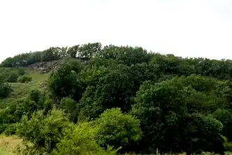 Земеделски имот в Монтана, с. Смоляновци