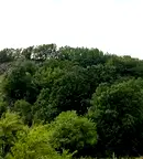 Земеделски имот в Монтана, с. Смоляновци