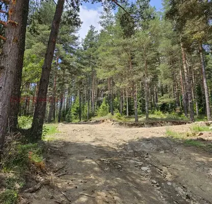 Photo 3 — Agricultural Land in Oblast Pazardjik, Slavovica