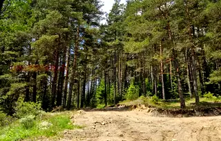Земеделски имот в Пазарджик, с. Славовица