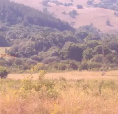 Photo 3 — Agricultural Land in Oblast Pernik, Bosnek