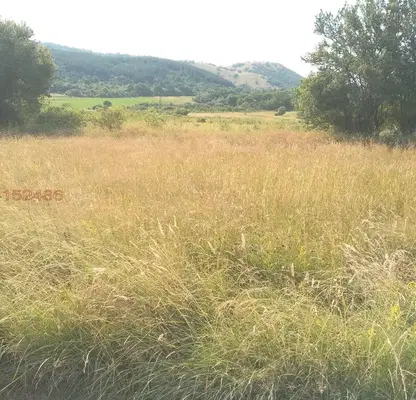 Photo 4 — Agricultural Land in Oblast Pernik, Bosnek