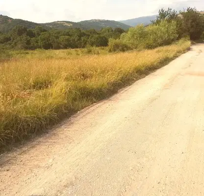 Photo 5 — Agricultural Land in Oblast Pernik, Bosnek