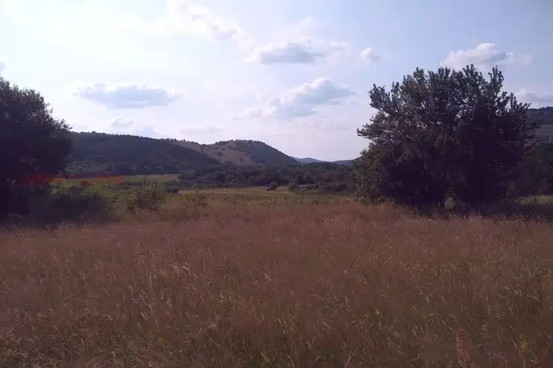 Agricultural Land in Oblast Pernik, Bosnek