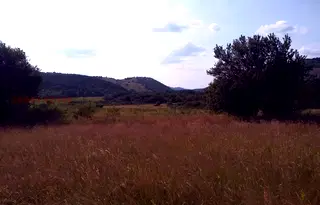 Земеделски имот в Перник, с. Боснек