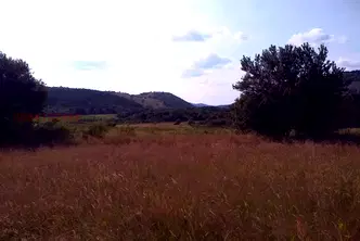 Земеделски имот в Перник, с. Боснек