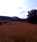 Земеделски имот в Перник, с. Боснек