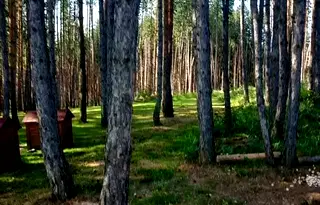 Земеделски имот в Перник, с. Кладница