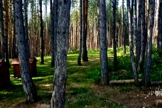 Земеделски имот в Перник, с. Кладница