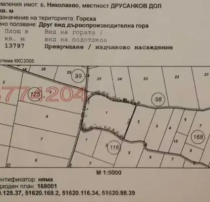 Снимка 2 — Земеделски имот в Плевен, с. Николаево