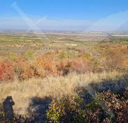 Photo 3 — Agricultural Land in Oblast Plovdiv, Brestovica