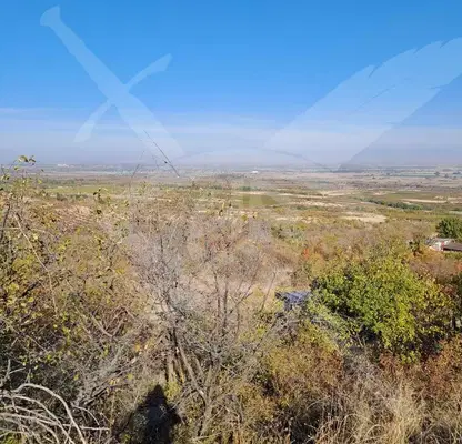 Photo 5 — Agricultural Land in Oblast Plovdiv, Brestovica