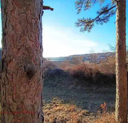 Снимка 2 — Земеделски имот в Русе, с. Николово