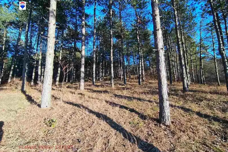 Agricultural Land in Oblast Ruse, Nikolovo
