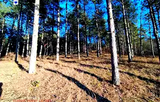 Земеделски имот в Русе, с. Николово