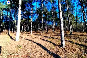 Земеделски имот в Русе, с. Николово