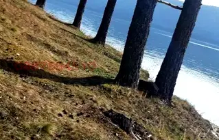 Земеделски имот в Смолян, Доспат
