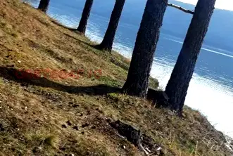 Земеделски имот в Смолян, Доспат