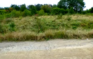 Земеделски имот в София, Копривщица