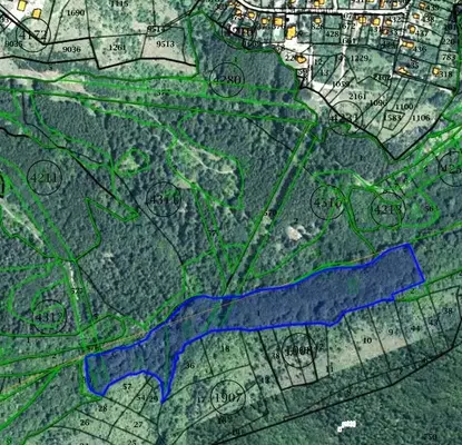 Photo 3 — Forest/Scrubland in Sofia, Sofia