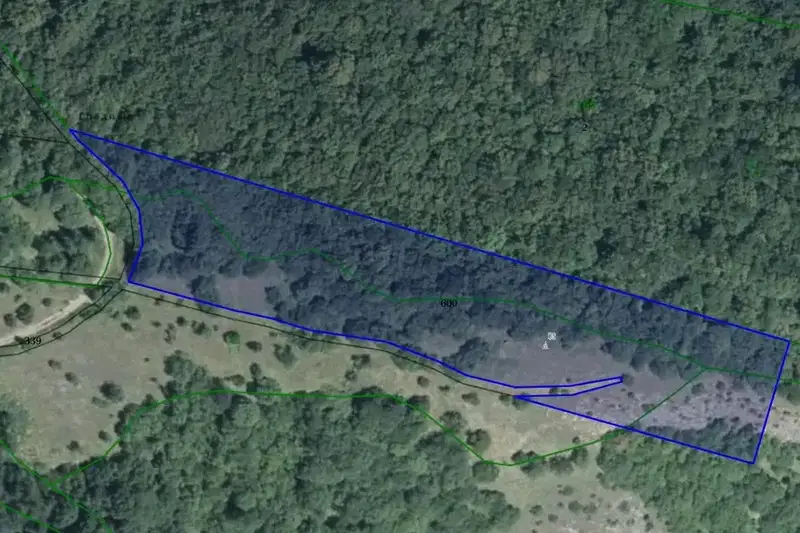 Forest/Scrubland in Sofia, Sofia