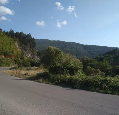 Photo 5 — Agricultural Land in област София, Iskrec