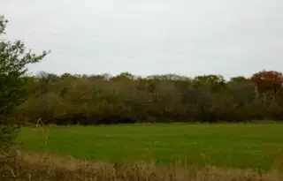 Земеделски имот в Стара Загора, с. Дълбоки