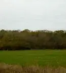 Земеделски имот в Стара Загора, с. Дълбоки